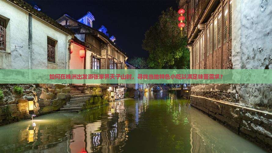 如何在株洲出发游张家界天子山时，寻找当地特色小吃以满足味蕾需求？