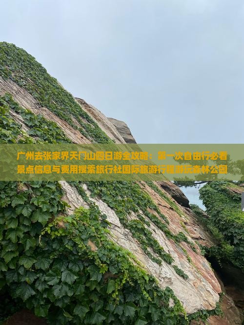 广州去张家界天门山四日游全攻略：第一次自由行必看景点信息与费用搜索旅行社国际旅游行程游玩森林公园旅行