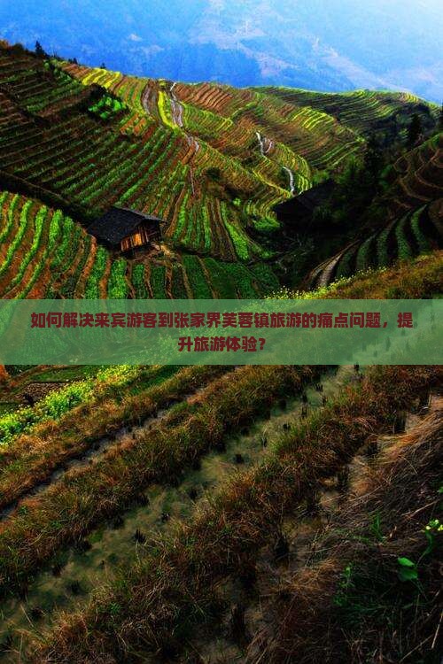 如何解决来宾游客到张家界芙蓉镇旅游的痛点问题，提升旅游体验？