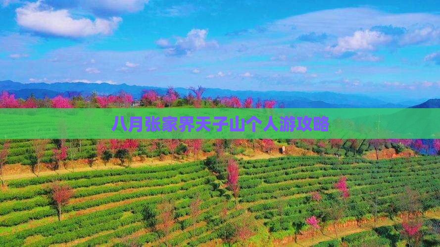 八月张家界天子山个人游攻略