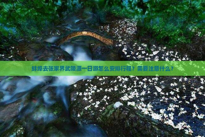 蚌埠去张家界武陵源一日游怎么安排行程？需要注意什么？