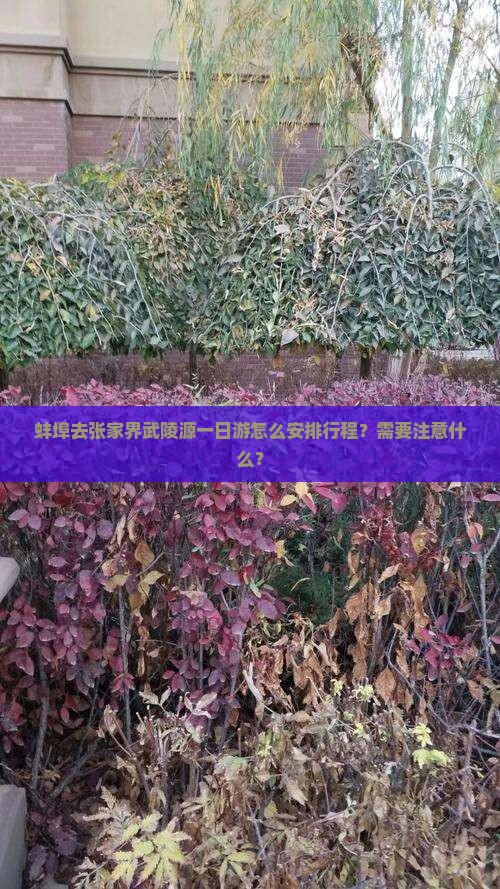 蚌埠去张家界武陵源一日游怎么安排行程？需要注意什么？