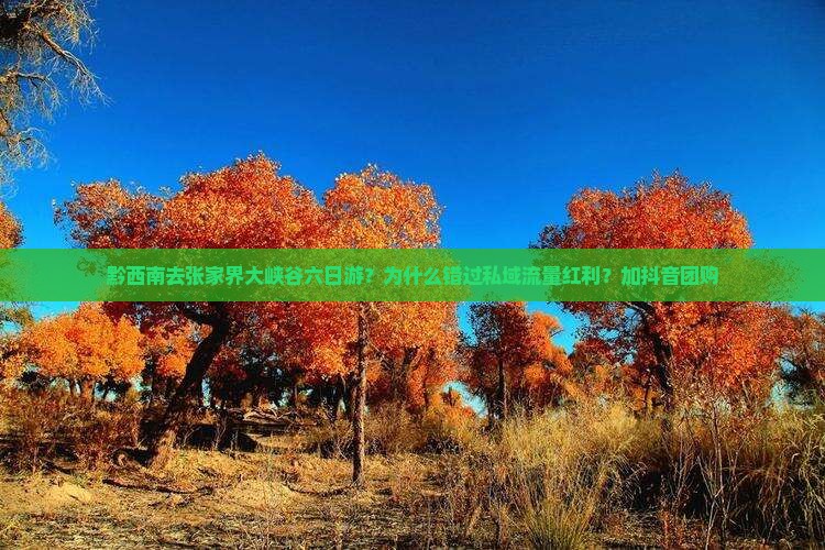 黔西南去张家界大峡谷六日游？为什么错过私域流量红利？加抖音团购