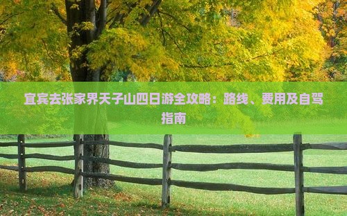 宜宾去张家界天子山四日游全攻略：路线、费用及自驾指南