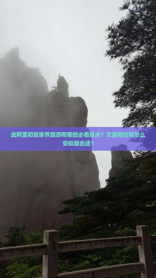 去阿里和张家界旅游有哪些必看景点？交通和住宿怎么安排最合适？