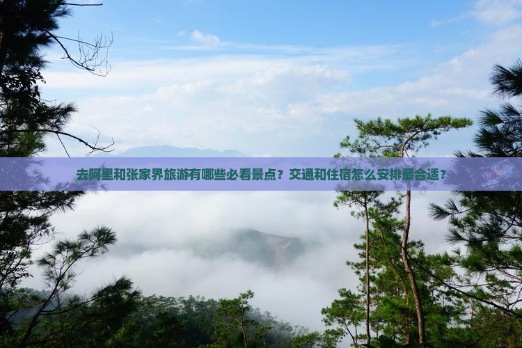 去阿里和张家界旅游有哪些必看景点？交通和住宿怎么安排最合适？