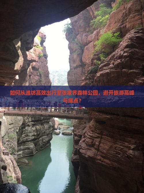 如何从潍坊高效出行至张家界森林公园，避开旅游高峰与痛点？
