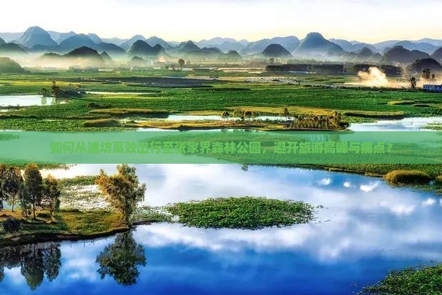 如何从潍坊高效出行至张家界森林公园，避开旅游高峰与痛点？