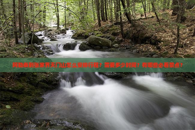 阿勒泰到张家界天门山怎么安排行程？需要多少时间？有哪些必看景点？