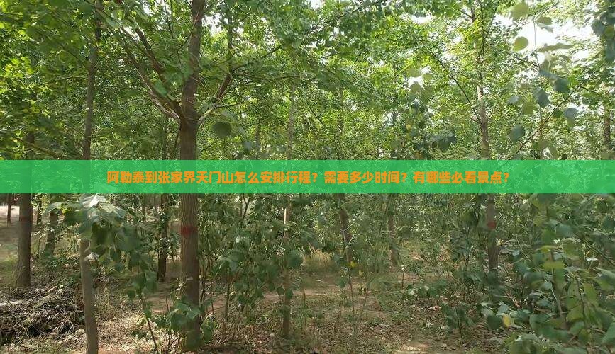 阿勒泰到张家界天门山怎么安排行程？需要多少时间？有哪些必看景点？