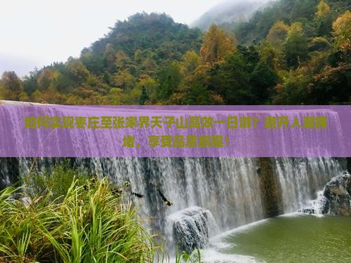 如何实现枣庄至张家界天子山高效一日游？避开人潮拥堵，享受品质旅程！
