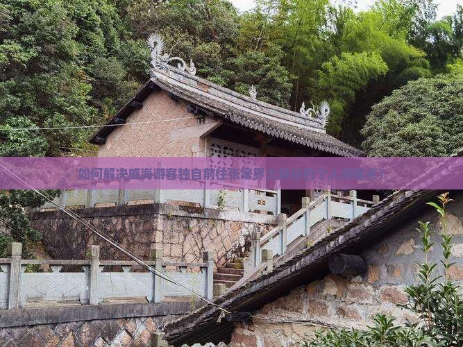 如何解决威海游客独自前往张家界大峡谷的个人游痛点？