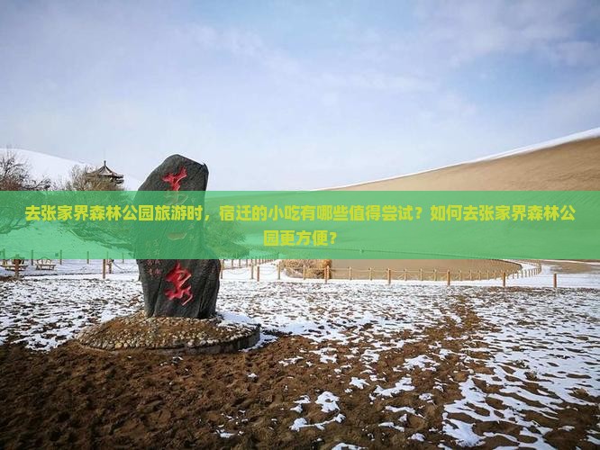 去张家界森林公园旅游时，宿迁的小吃有哪些值得尝试？如何去张家界森林公园更方便？