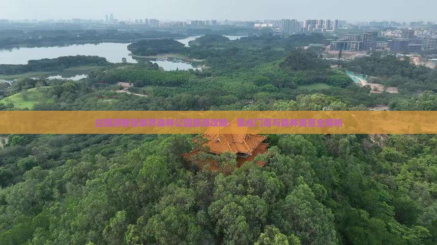 白银游客张家界森林公园旅游攻略：景点门票与森林美景全解析