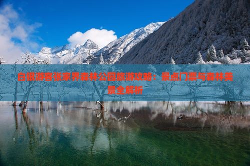 白银游客张家界森林公园旅游攻略：景点门票与森林美景全解析