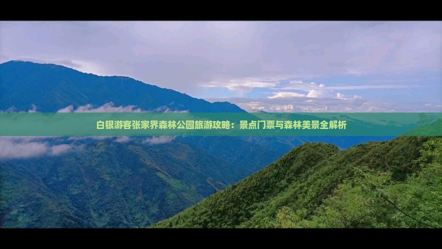 白银游客张家界森林公园旅游攻略：景点门票与森林美景全解析