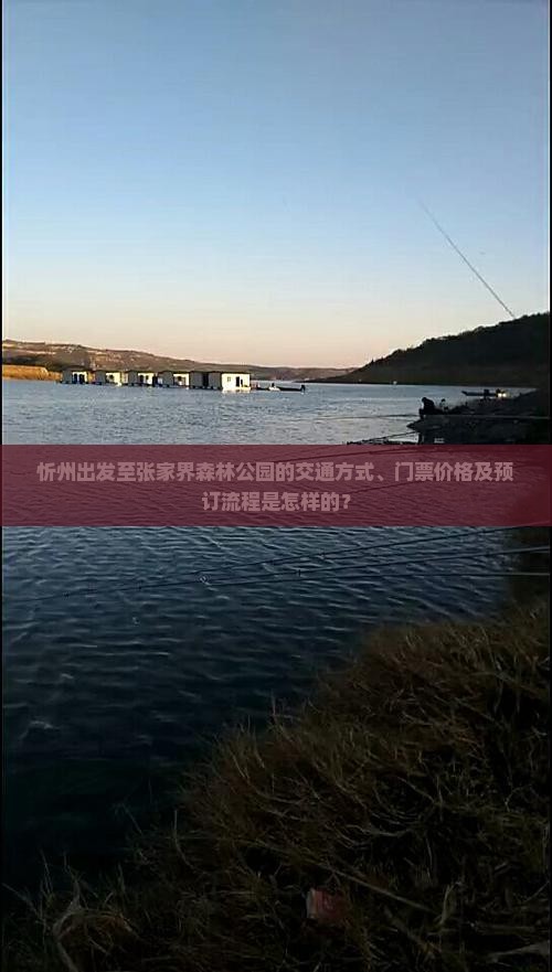 忻州出发至张家界森林公园的交通方式、门票价格及预订流程是怎样的？