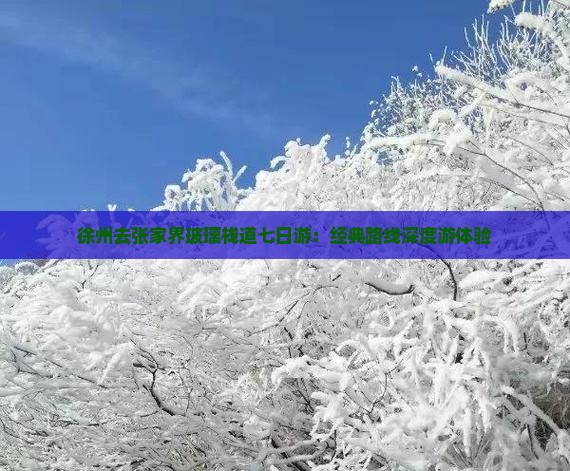 徐州去张家界玻璃栈道七日游：经典路线深度游体验