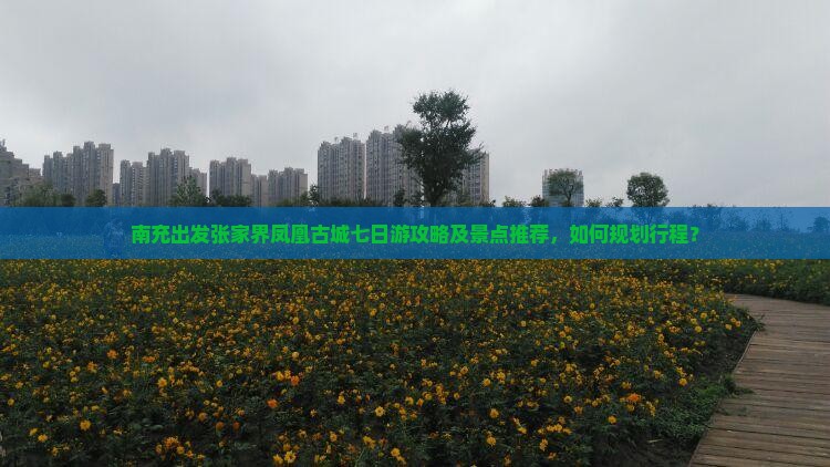 南充出发张家界凤凰古城七日游攻略及景点推荐，如何规划行程？