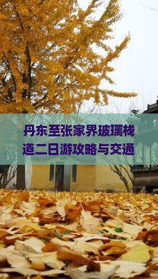 丹东至张家界玻璃栈道二日游攻略与交通住宿指南，如何规划行程？