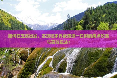 如何在玉溪出发，实现张家界武陵源一日游的痛点攻略与高效玩法？