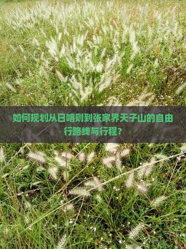 如何规划从日喀则到张家界天子山的自由行路线与行程？