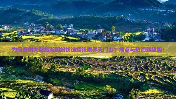 为何泰州大型旅游团纷纷选择张家界天门山？痛点与热词新趋势！