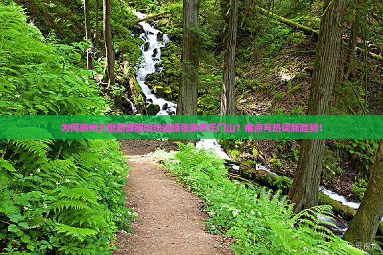 为何泰州大型旅游团纷纷选择张家界天门山？痛点与热词新趋势！
