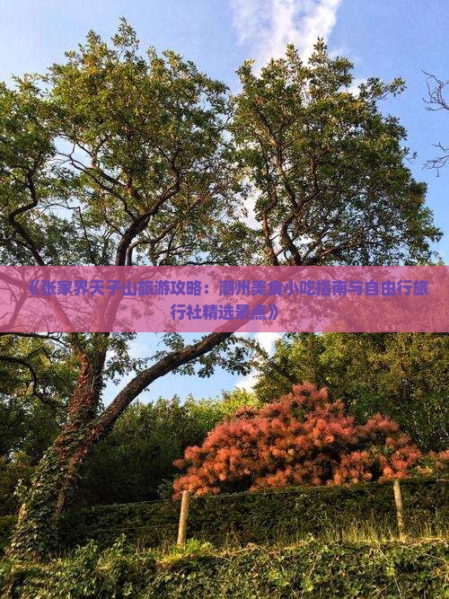 《张家界天子山旅游攻略：潮州美食小吃指南与自由行旅行社精选景点》