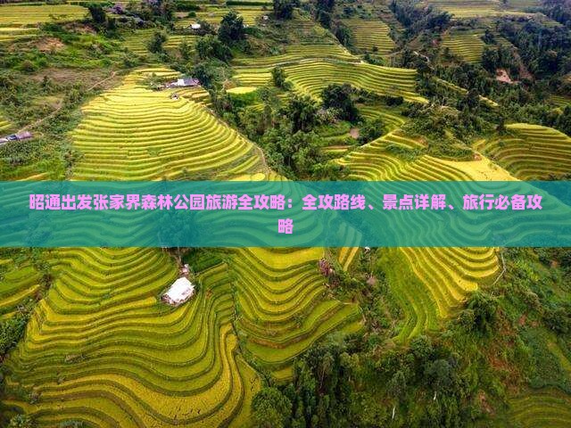 昭通出发张家界森林公园旅游全攻略：全攻路线、景点详解、旅行必备攻略
