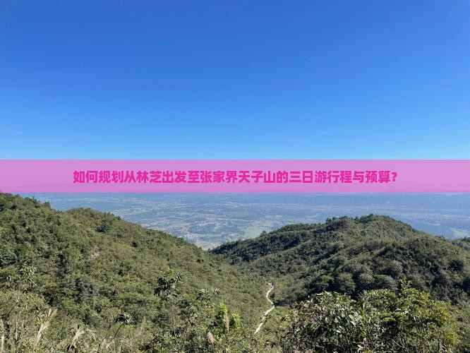 如何规划从林芝出发至张家界天子山的三日游行程与预算？