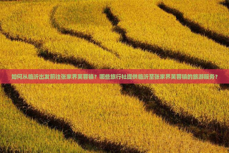 如何从临沂出发前往张家界芙蓉镇？哪些旅行社提供临沂至张家界芙蓉镇的旅游服务？