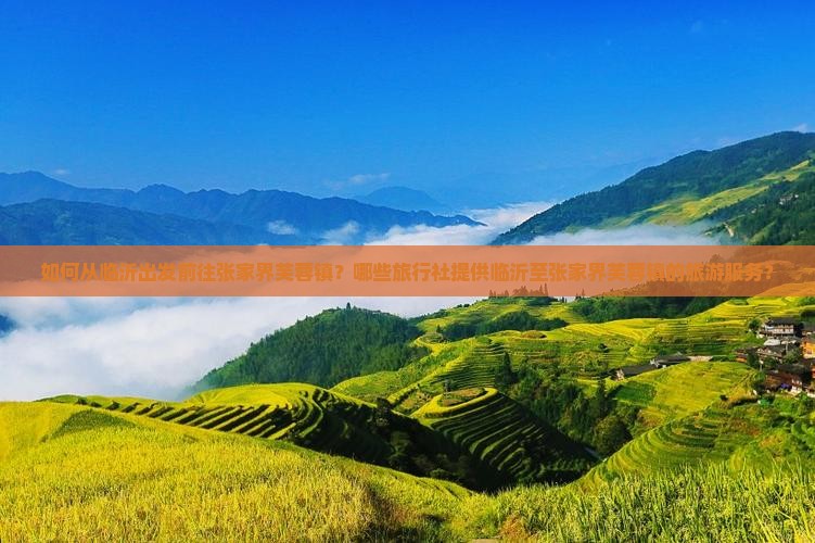 如何从临沂出发前往张家界芙蓉镇？哪些旅行社提供临沂至张家界芙蓉镇的旅游服务？