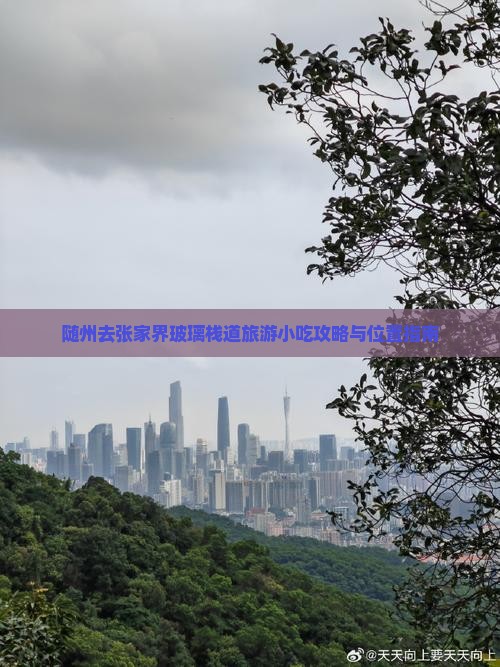 随州去张家界玻璃栈道旅游小吃攻略与位置指南
