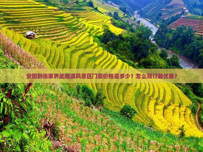 安阳到张家界武陵源风景区门票价格是多少？怎么预订最优惠？