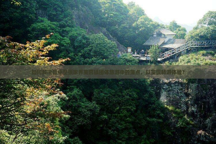 如何解决晋中至张家界芙蓉镇团体旅游中的痛点，以实现畅游体验？