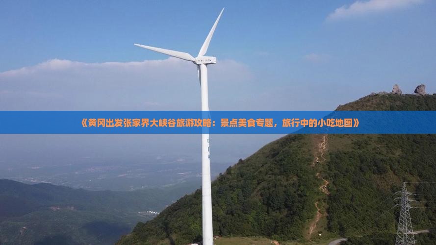 《黄冈出发张家界大峡谷旅游攻略：景点美食专题，旅行中的小吃地图》