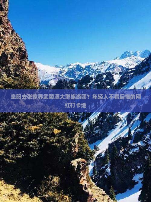 阜阳去张家界武陵源大型旅游团？年轻人不看后悔的网红打卡地