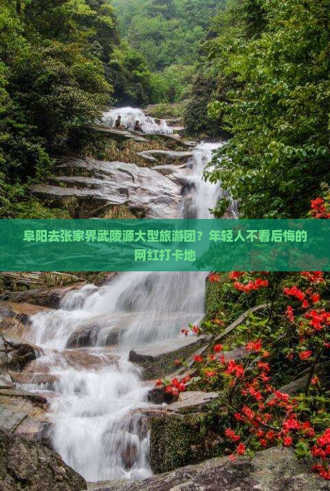 阜阳去张家界武陵源大型旅游团？年轻人不看后悔的网红打卡地