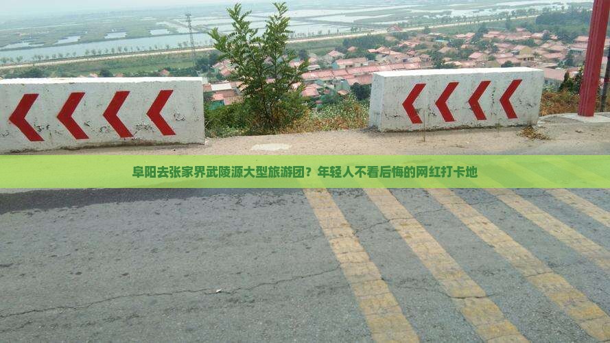 阜阳去张家界武陵源大型旅游团？年轻人不看后悔的网红打卡地