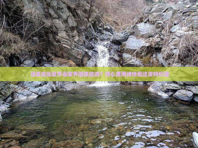 吕梁去张家界袁家界团体旅游？担心费用缚快看这波特价团
