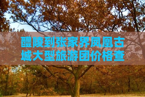 醴陵到张家界凤凰古城大型旅游团价格查询