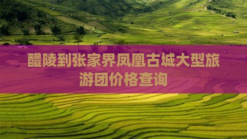 醴陵到张家界凤凰古城大型旅游团价格查询