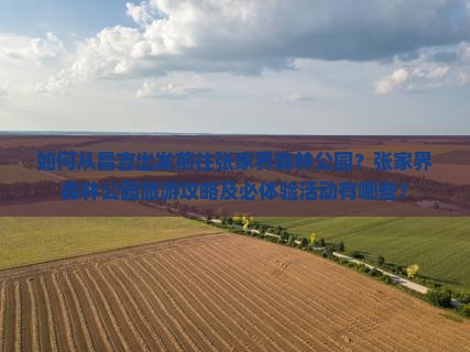 如何从昌吉出发前往张家界森林公园？张家界森林公园旅游攻略及必体验活动有哪些？