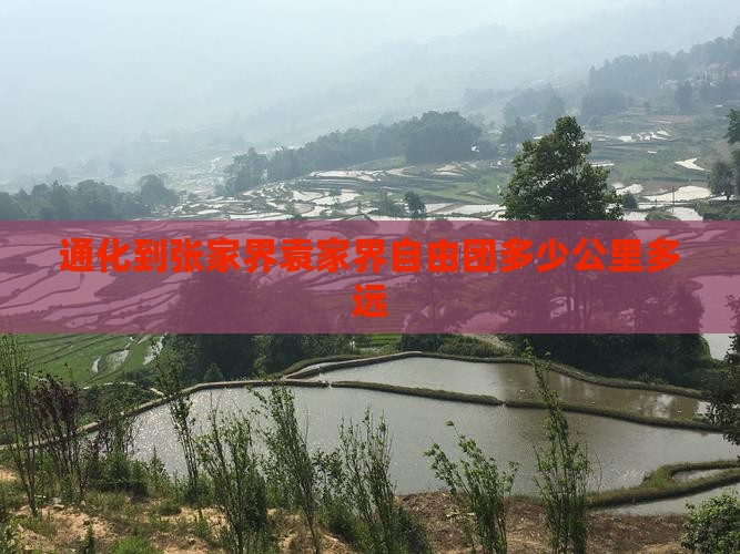 通化到张家界袁家界自由团多少公里多远