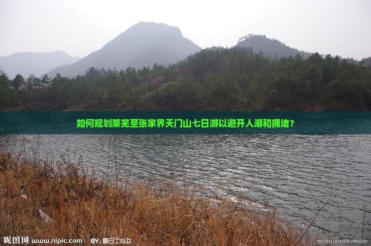 如何规划莱芜至张家界天门山七日游以避开人潮和拥堵？