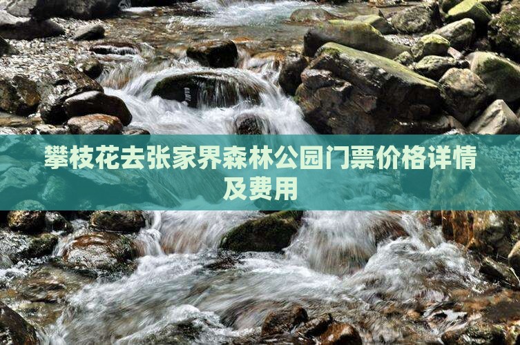 攀枝花去张家界森林公园门票价格详情及费用