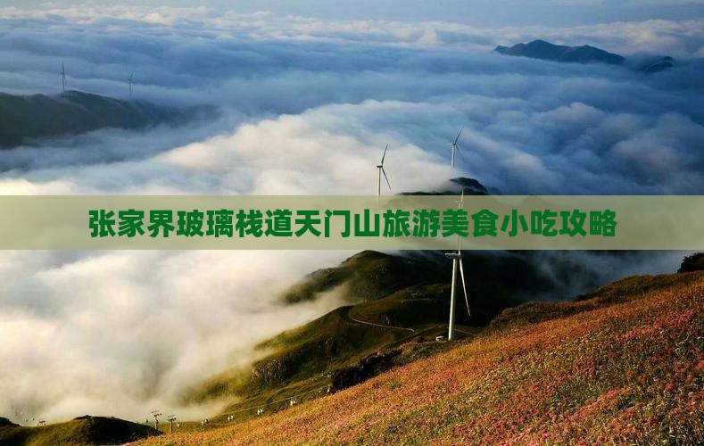 张家界玻璃栈道天门山旅游美食小吃攻略