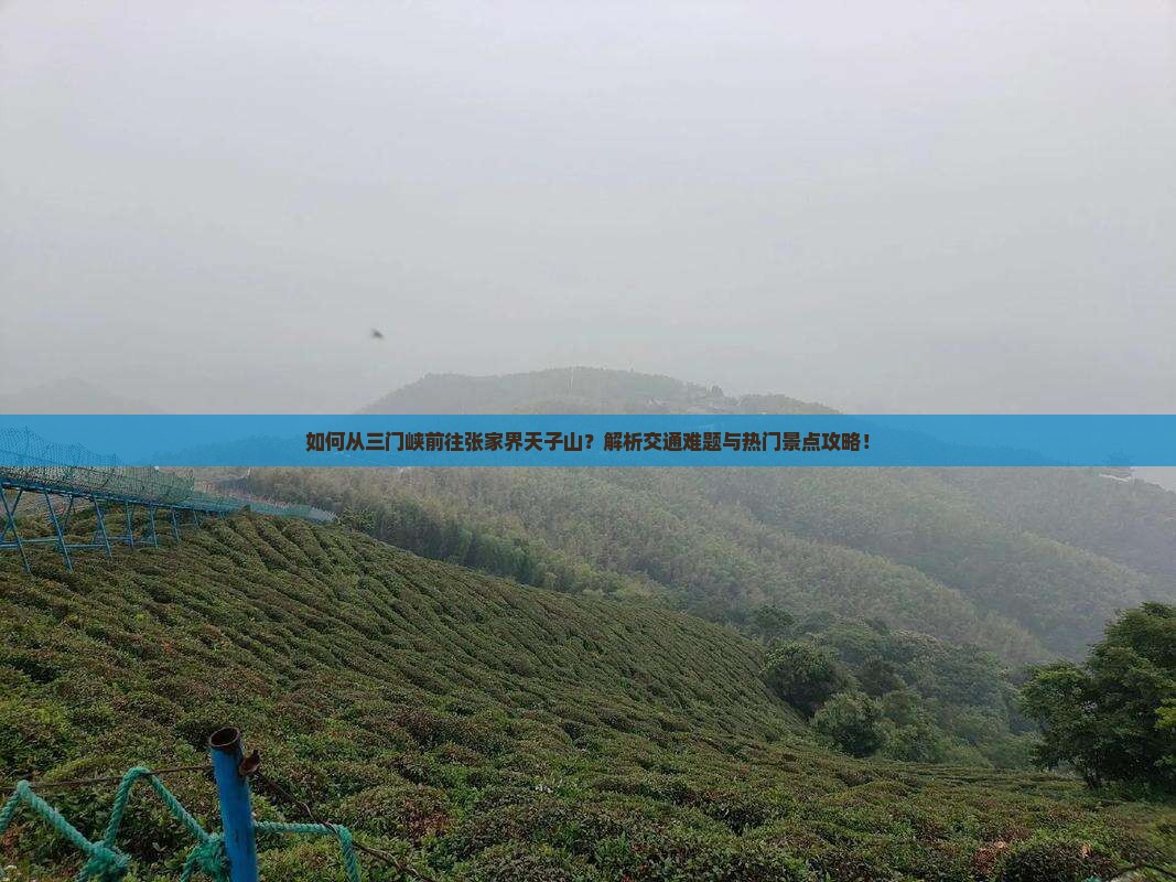 如何从三门峡前往张家界天子山？解析交通难题与热门景点攻略！