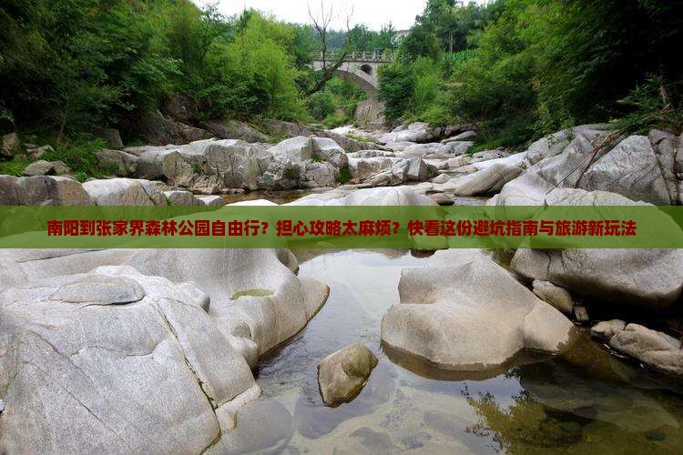 南阳到张家界森林公园自由行？担心攻略太麻烦？快看这份避坑指南与旅游新玩法